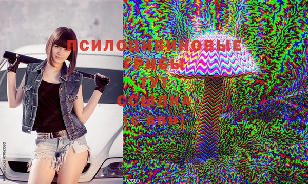 меф Балахна