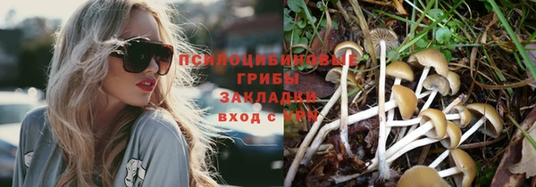 а пвп мука Баксан