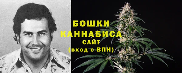 бошки Арсеньев